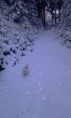 /album/fotogalerie-3-zavod-8-12-2012/imag0961-jpg/